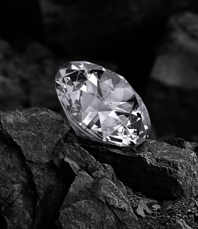 Ethically Sourced Elegance